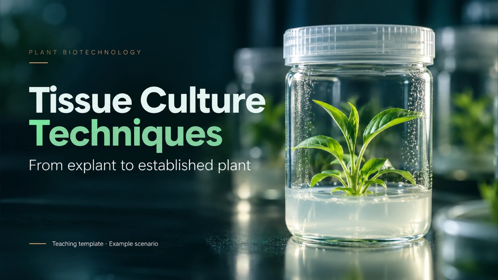Dark teal cover with white and mint tissue culture title beside a plant growing in a clear culture vessel.