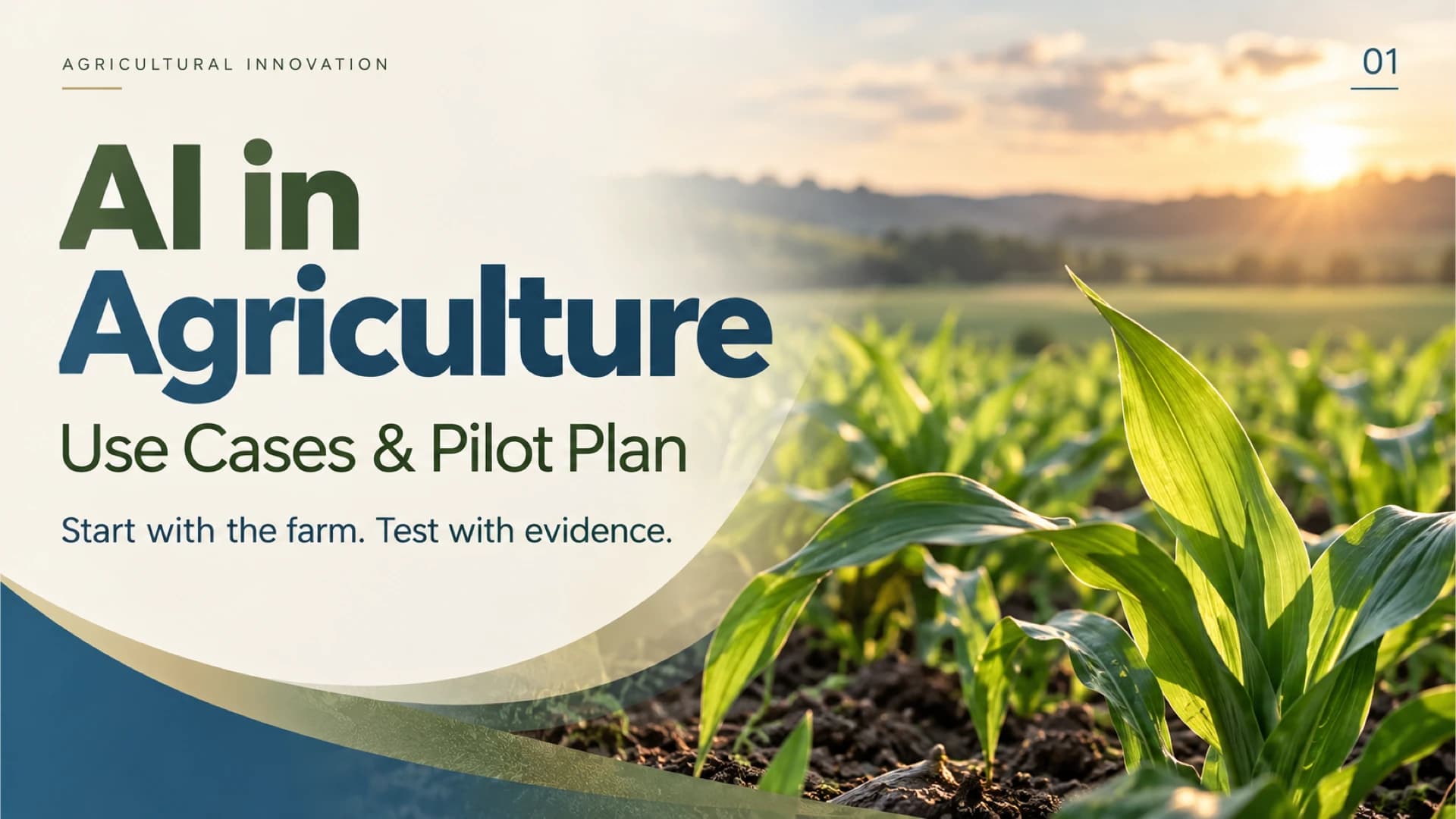 AI in Agriculture: Use Cases and Pilot Plan