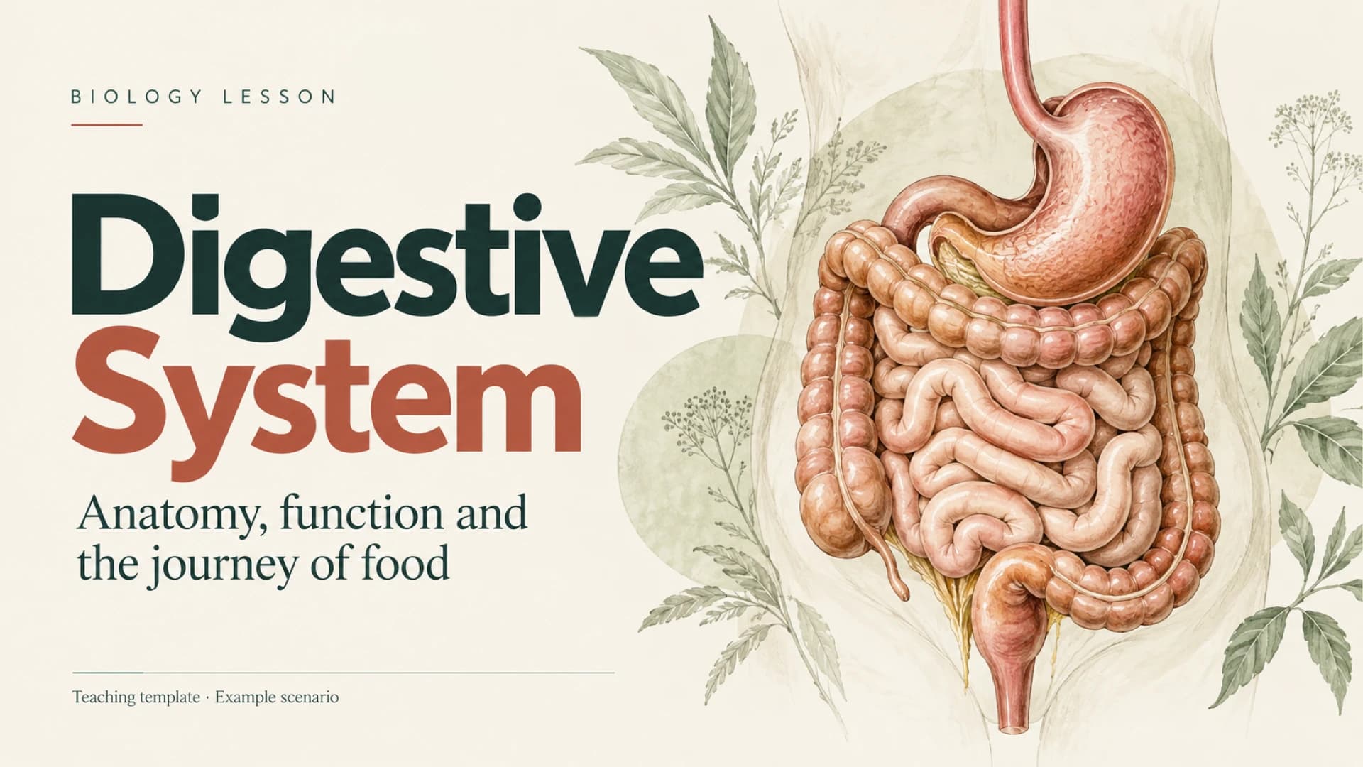 Digestive system lesson cover with a large anatomical illustration of the stomach and intestines amid botanical details