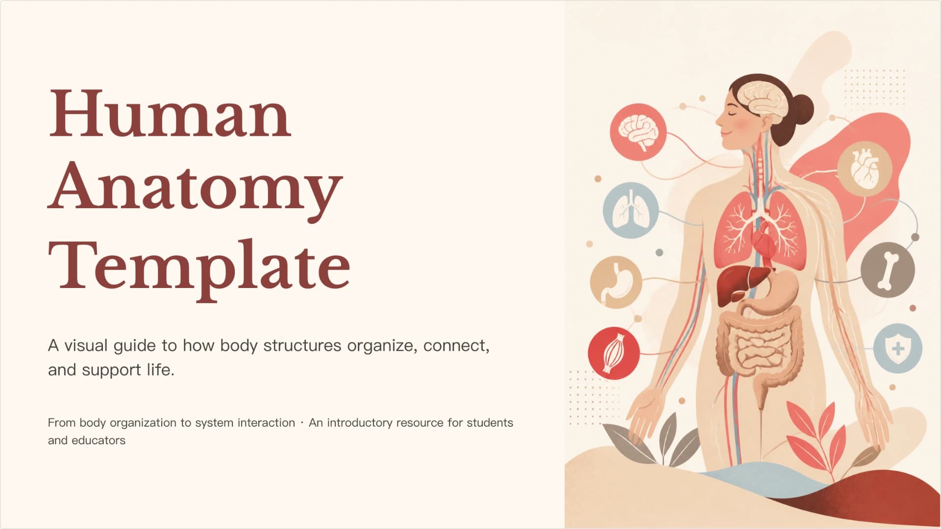 Illustrated Human Anatomy Systems & Functions Template presentation template